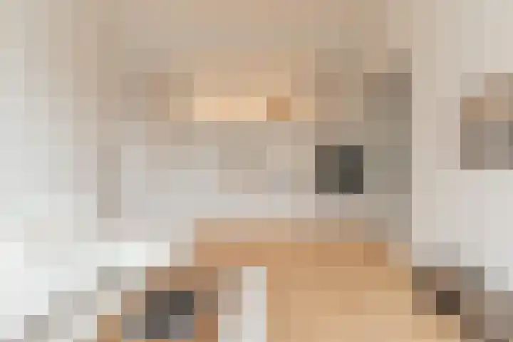 Raamweg 5 L Den Haag thumbnail 7