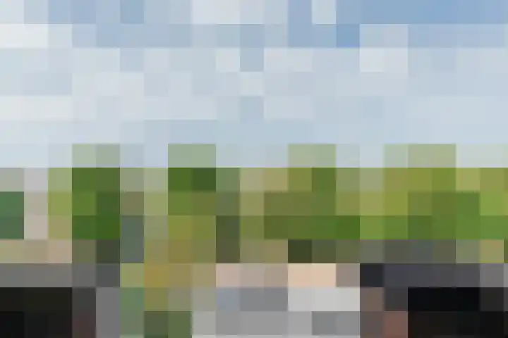Raamweg 5 P Den Haag thumbnail 10