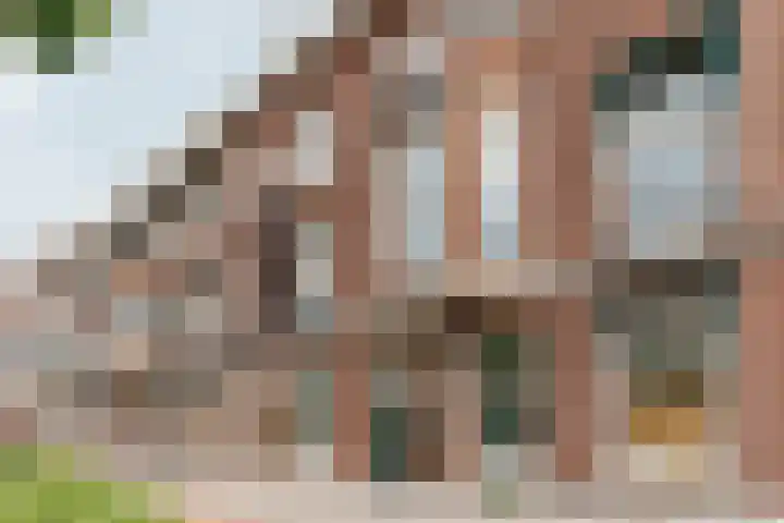 Raamweg 6 Den Haag thumbnail 4