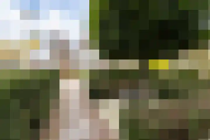 Raamweg 8 Vught foto 2