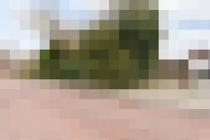 Raamweg 8 Vught thumbnail 47