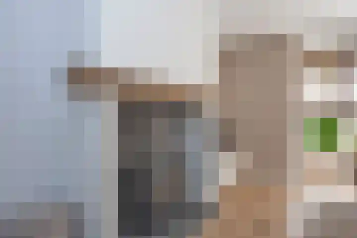 Raanhuisstraat 11 Delden thumbnail 18