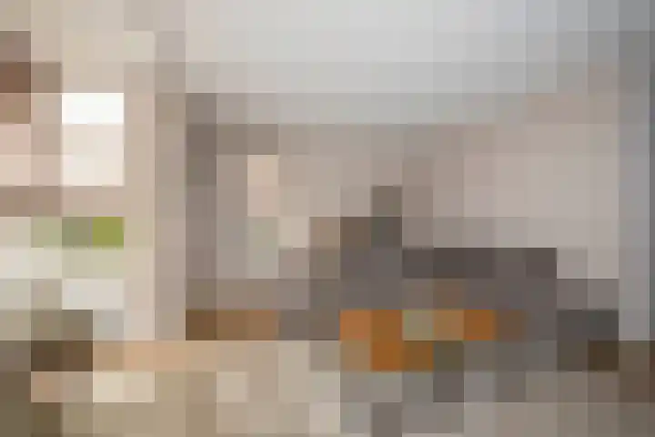 Raanhuisstraat 11 Delden thumbnail 20