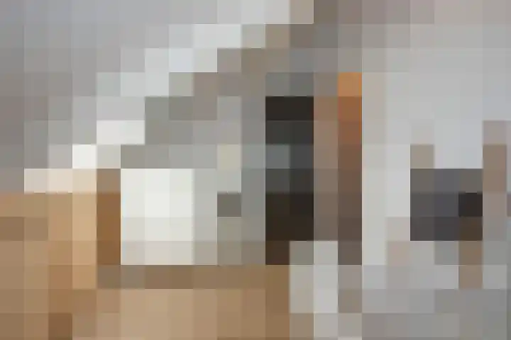 Raanhuisstraat 11 Delden thumbnail 36