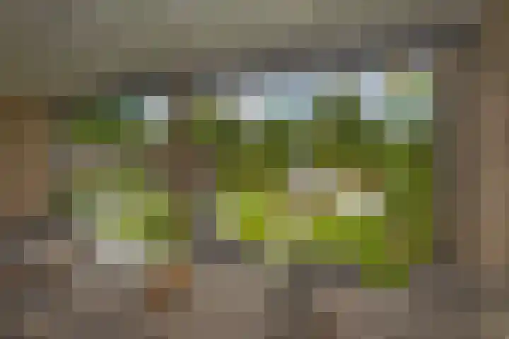 Raanhuisstraat 11 Delden thumbnail 39