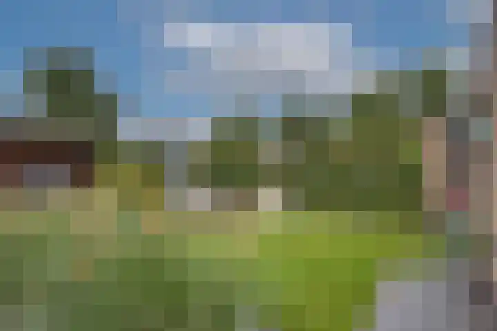 Raanhuisstraat 11 Delden thumbnail 4