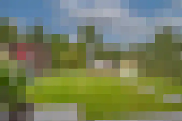 Raanhuisstraat 11 Delden thumbnail 43