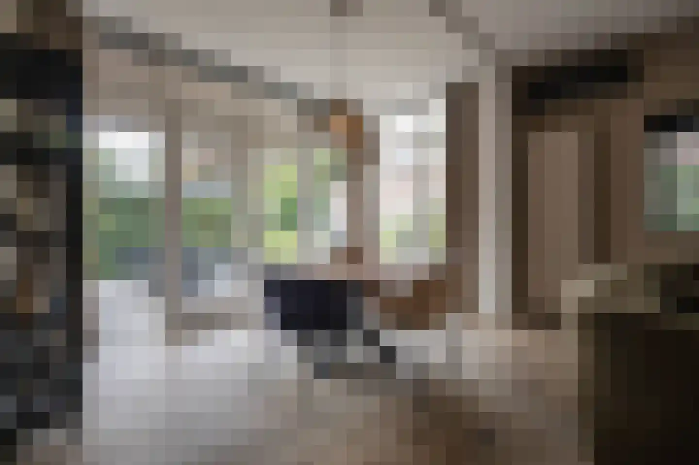 Raanhuisstraat 13 Oosterbeek thumbnail 15