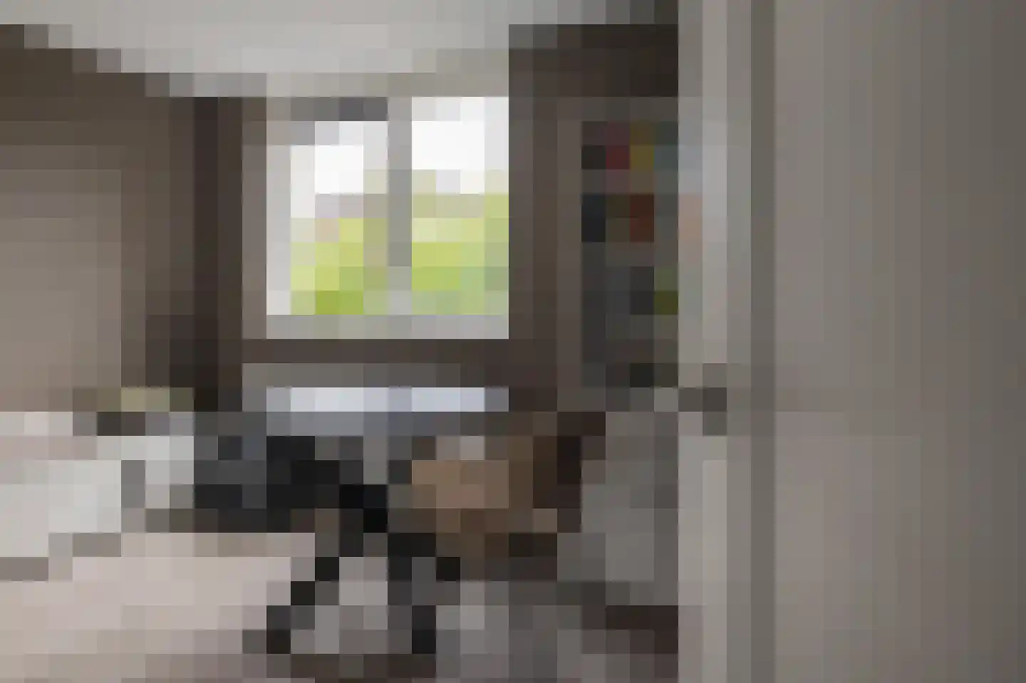 Raanhuisstraat 13 Oosterbeek thumbnail 38