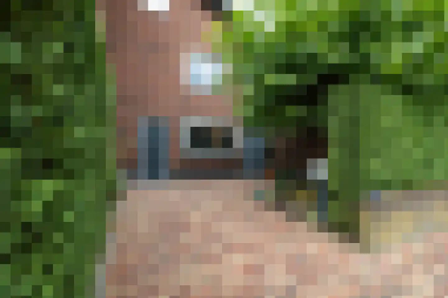 Raanhuisstraat 13 Oosterbeek thumbnail 59