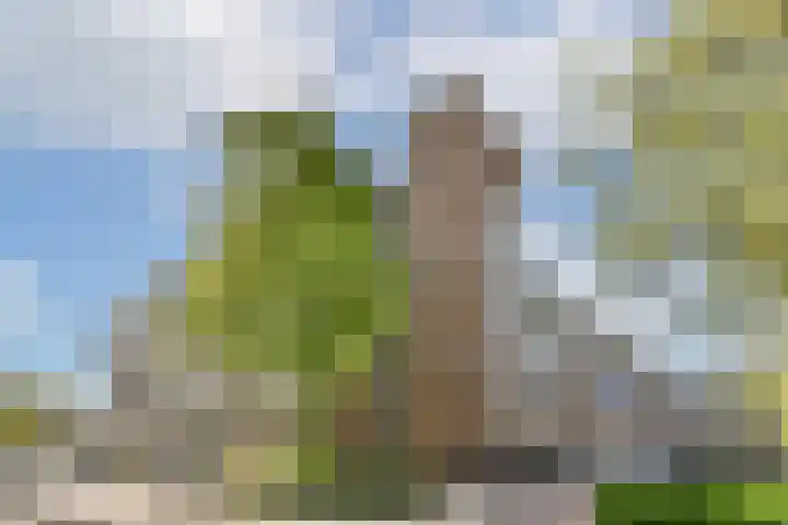 Raaphorst 101 dans Leiderdorp