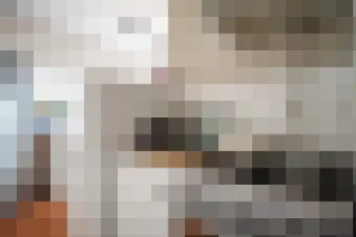 Raaphorst 105 Leiderdorp thumbnail 13