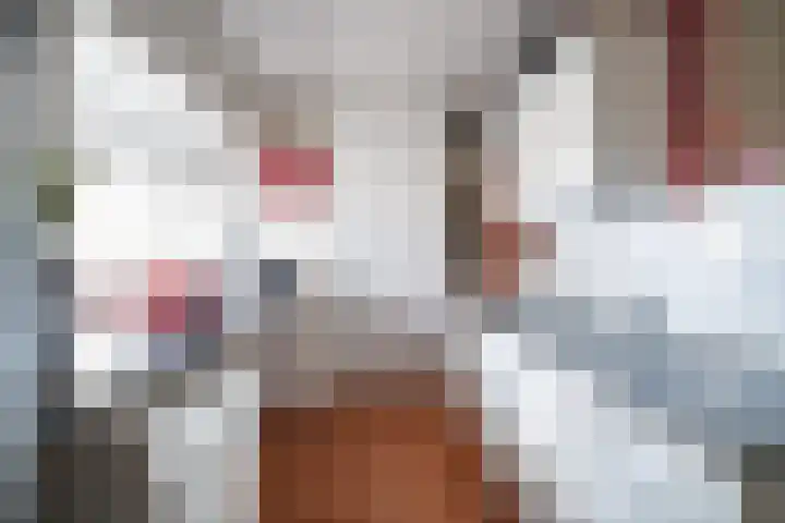 Raaphorst 105 Leiderdorp thumbnail 15