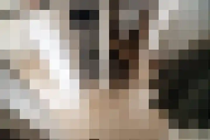 Raaphorst 105 Leiderdorp thumbnail 18