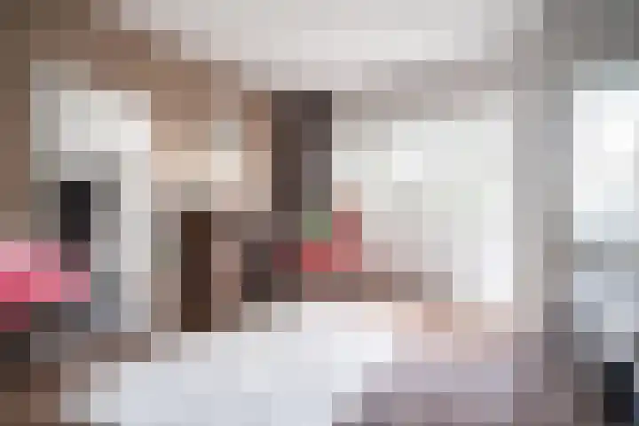 Raaphorst 105 Leiderdorp thumbnail 22