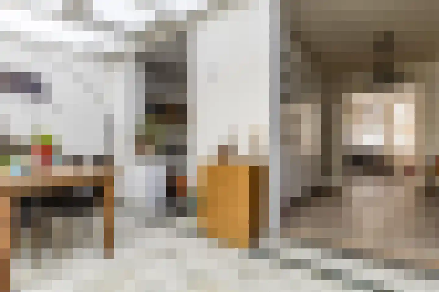 Raaphorst 105 Leiderdorp thumbnail 23