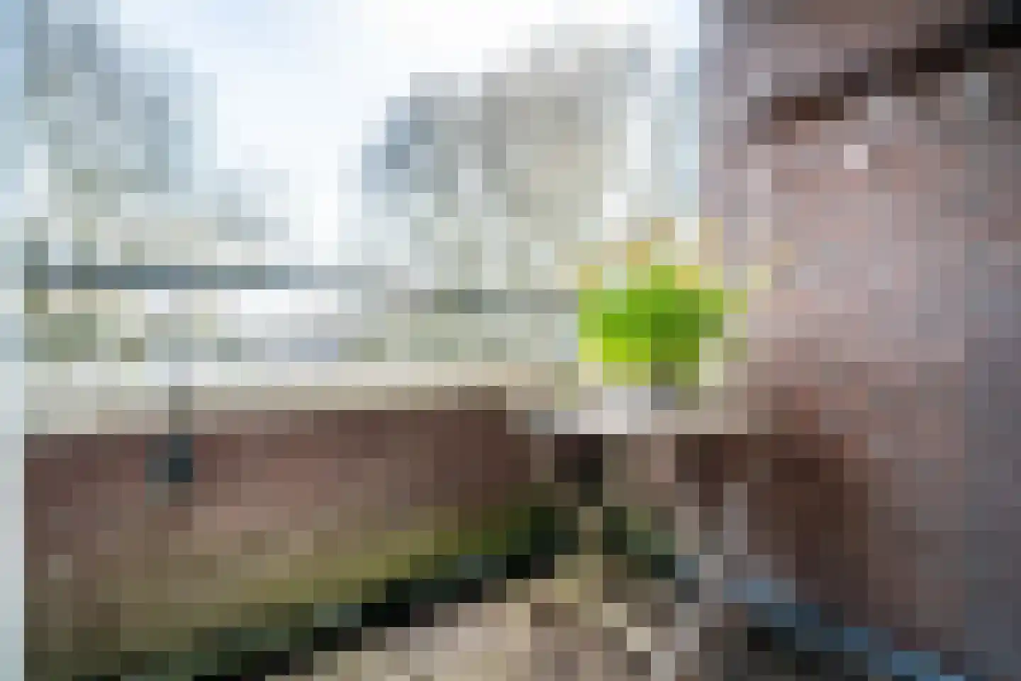 Raaphorst 105 Leiderdorp thumbnail 24