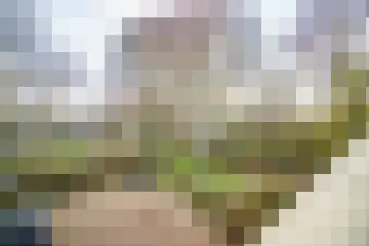 Raaphorst 105 Leiderdorp thumbnail 25