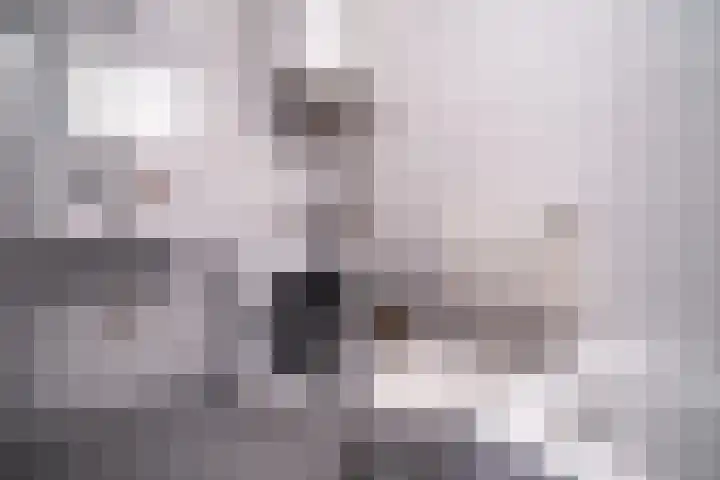 Raaphorst 105 Leiderdorp thumbnail 31