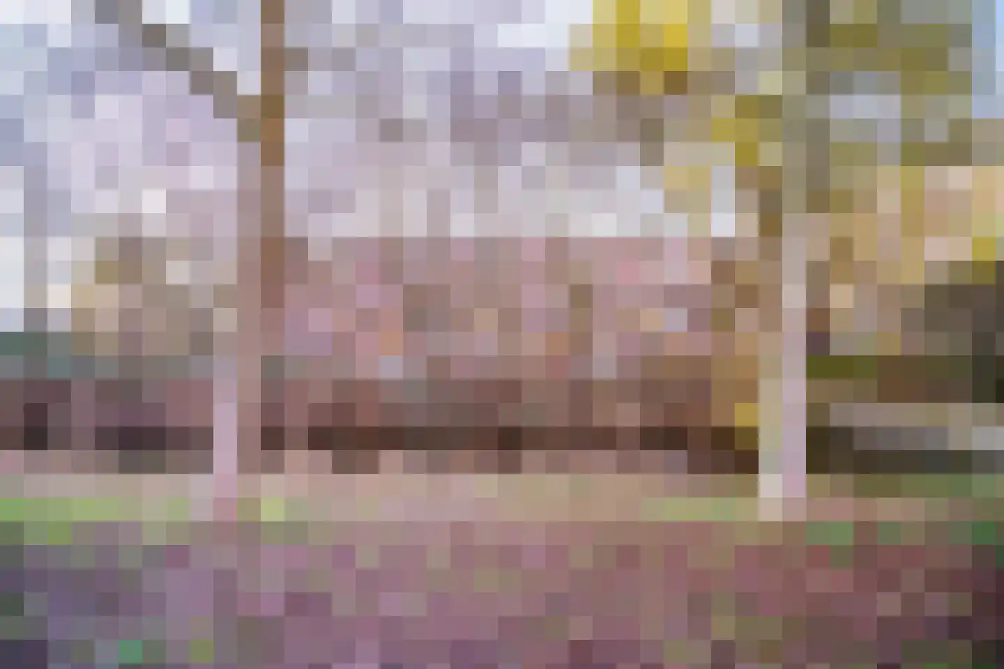 Raaphorst 105 Leiderdorp thumbnail 44