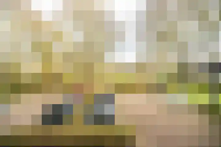 Raaphorst 105 Leiderdorp thumbnail 8