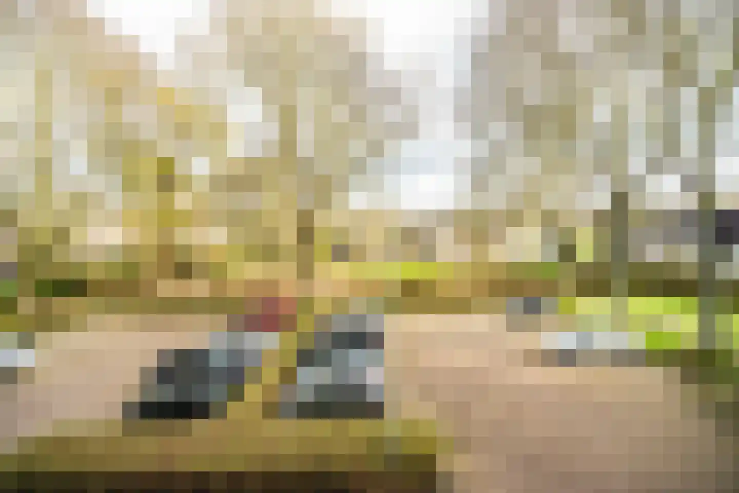 Raaphorst 105 Leiderdorp thumbnail 8