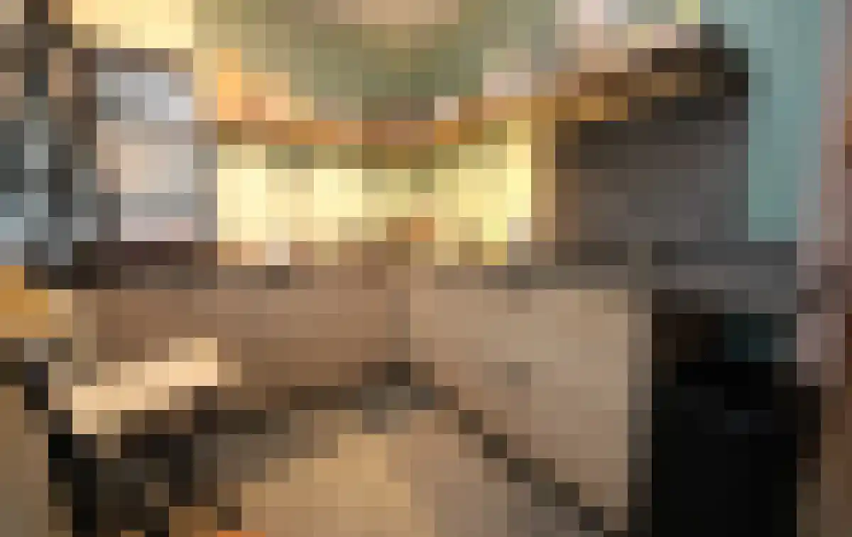 Raaphorst 113 Leiderdorp thumbnail 4