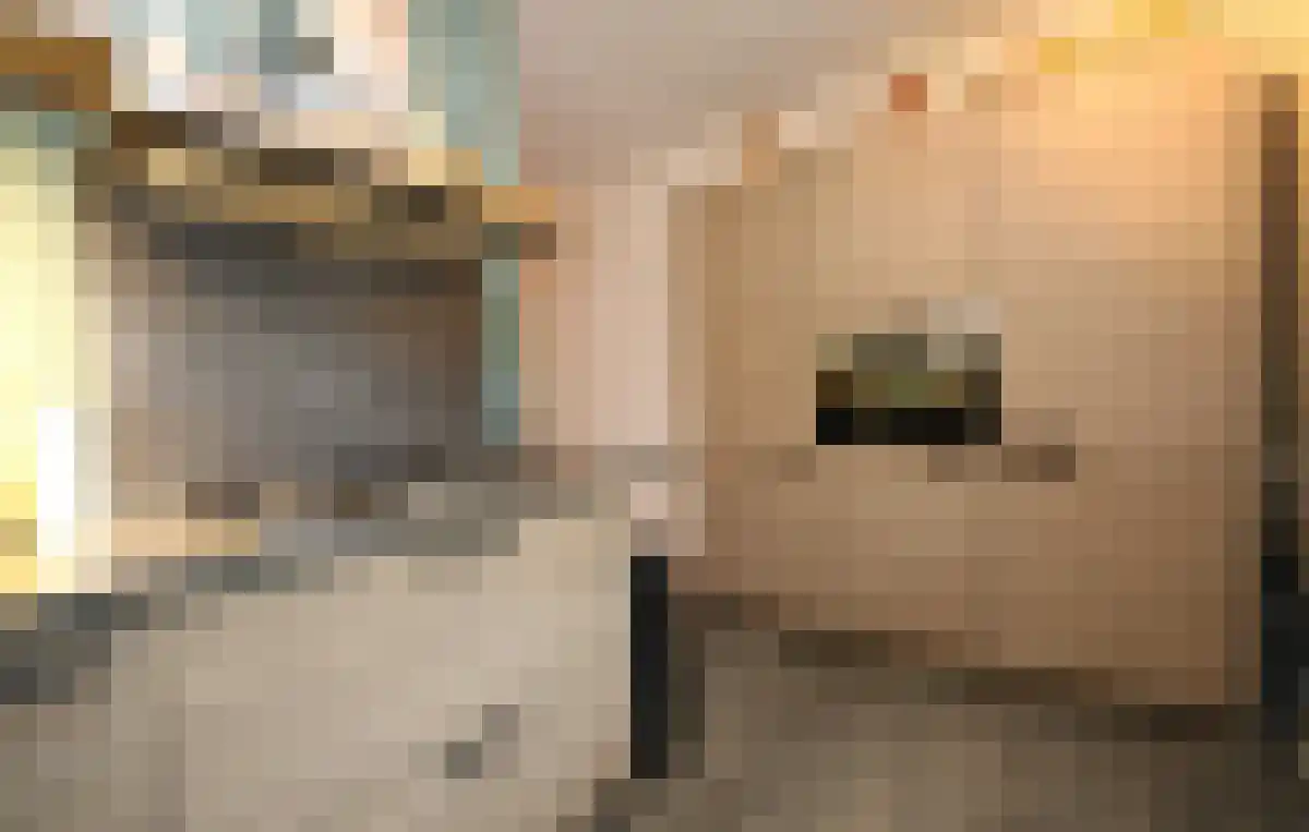 Raaphorst 113 Leiderdorp thumbnail 5