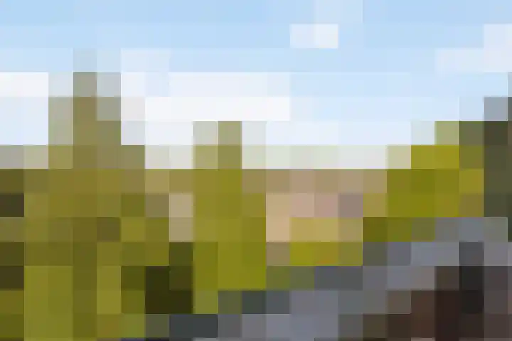Raaphorst 163 Leiderdorp thumbnail 22