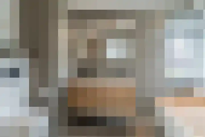 Raaphorst 163 Leiderdorp thumbnail 31