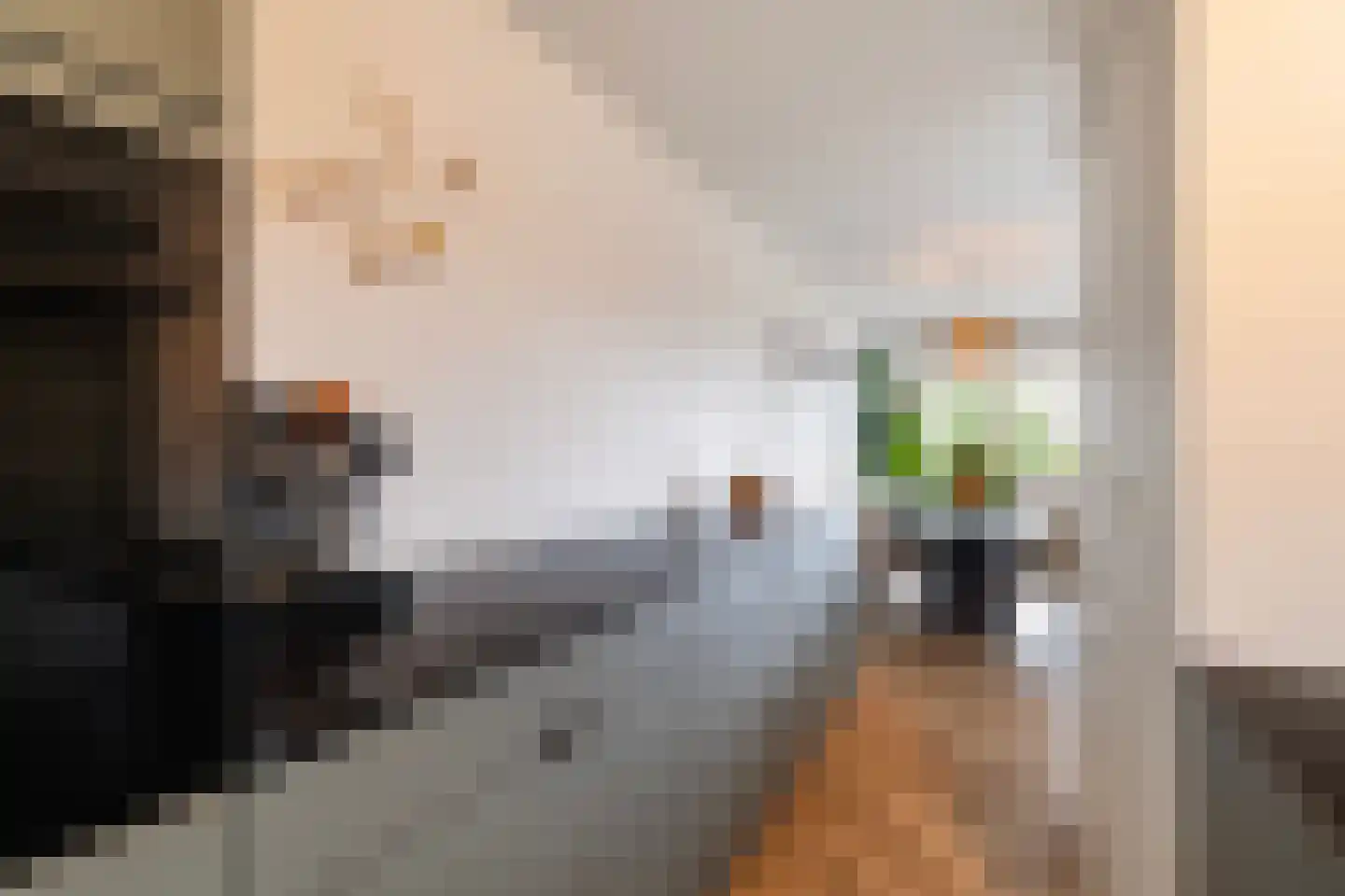 Raaphorst 169 Leiderdorp thumbnail 16
