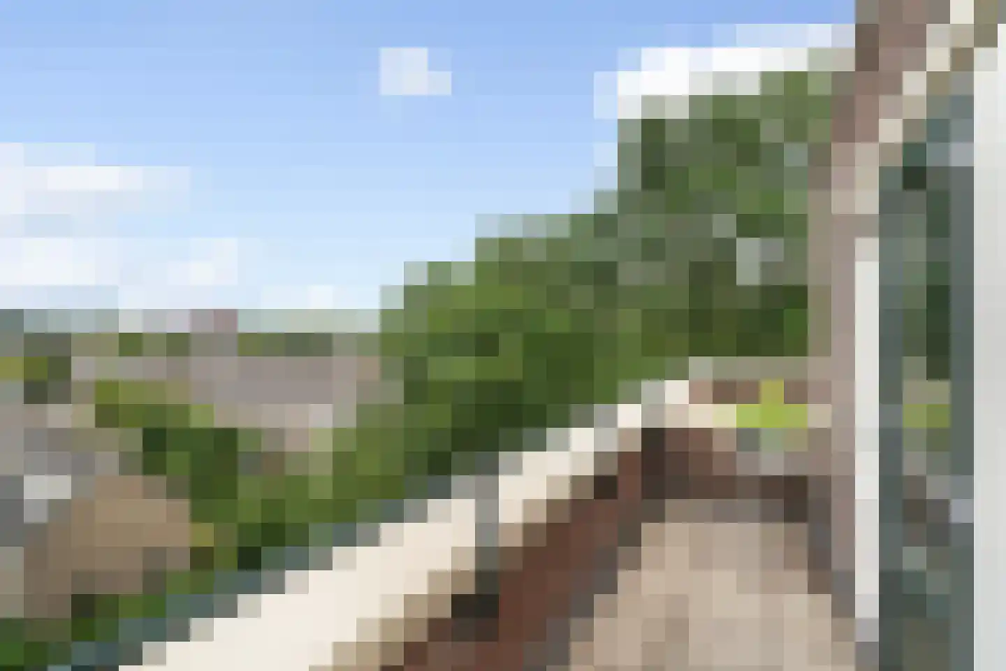 Raaphorst 169 Leiderdorp thumbnail 34