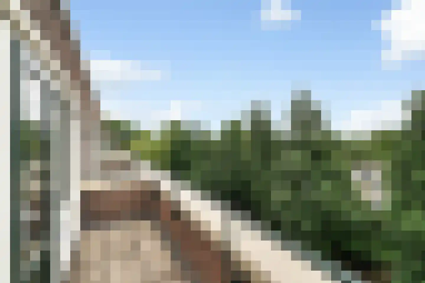 Raaphorst 169 Leiderdorp thumbnail 36