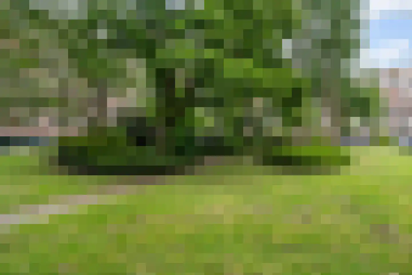 Raaphorst 169 Leiderdorp thumbnail 41
