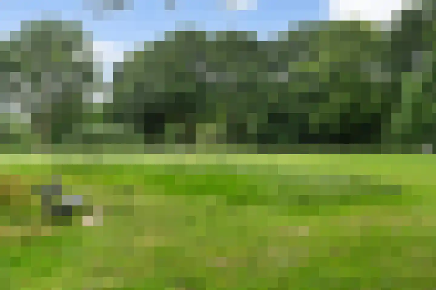 Raaphorst 169 Leiderdorp thumbnail 44