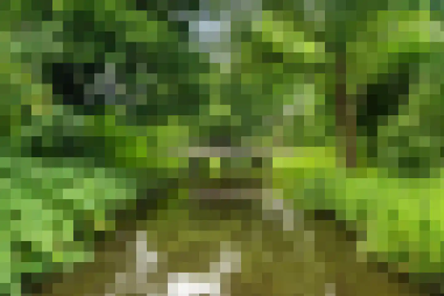 Raaphorst 169 Leiderdorp thumbnail 45