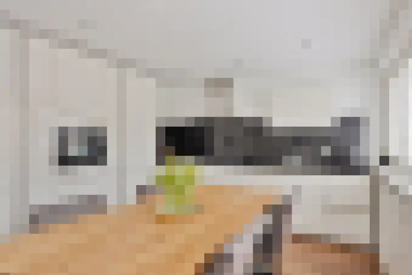Raaphorst 2 Leiderdorp thumbnail 10