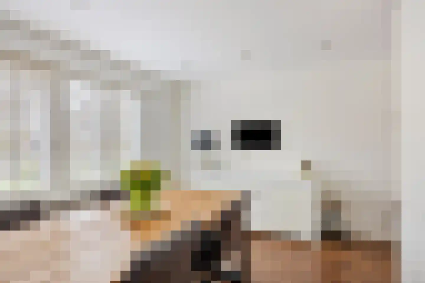 Raaphorst 2 Leiderdorp thumbnail 13