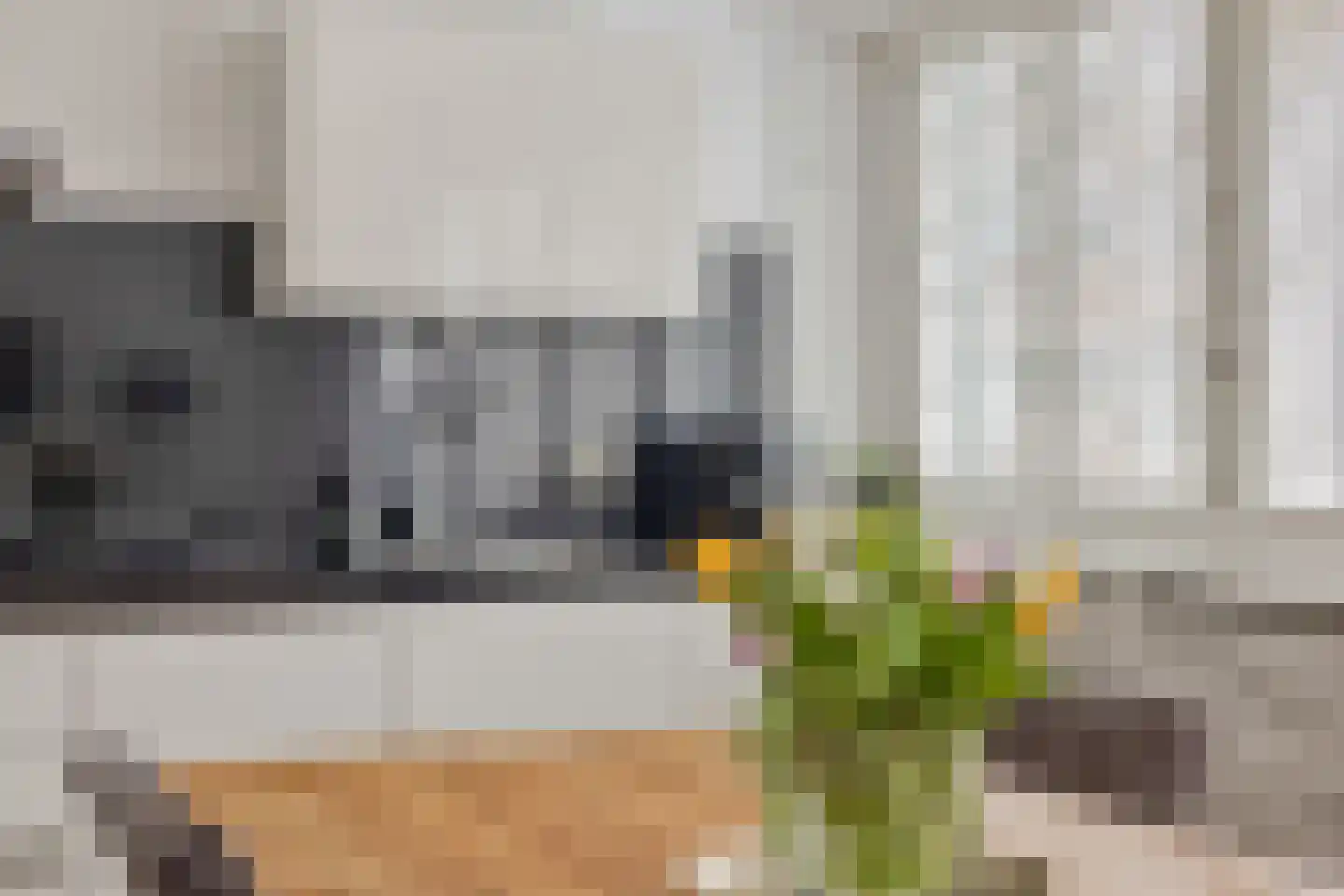 Raaphorst 2 Leiderdorp thumbnail 14