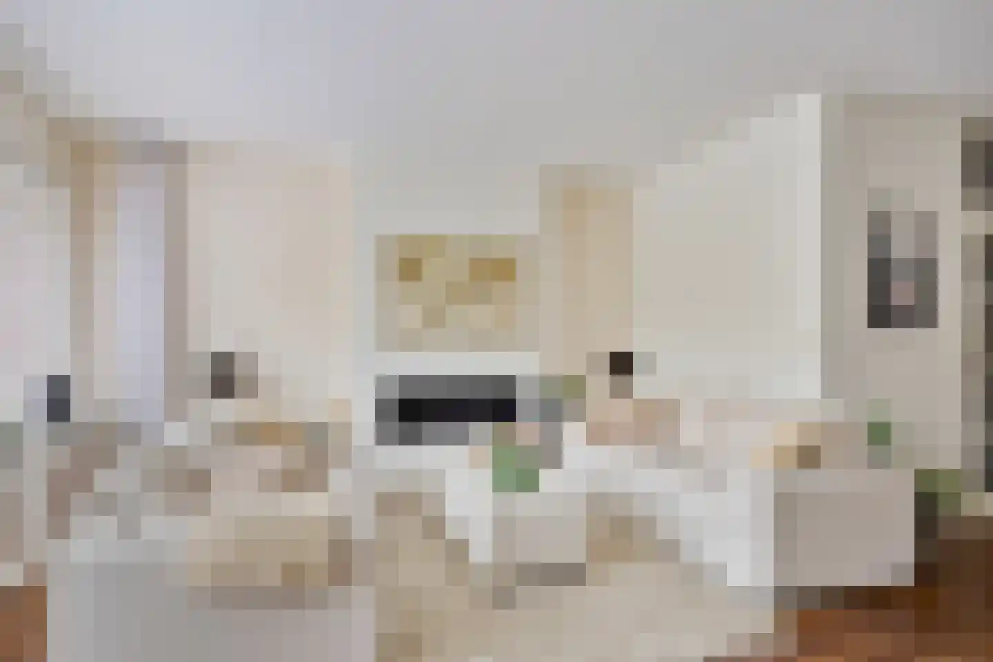 Raaphorst 2 Leiderdorp thumbnail 17