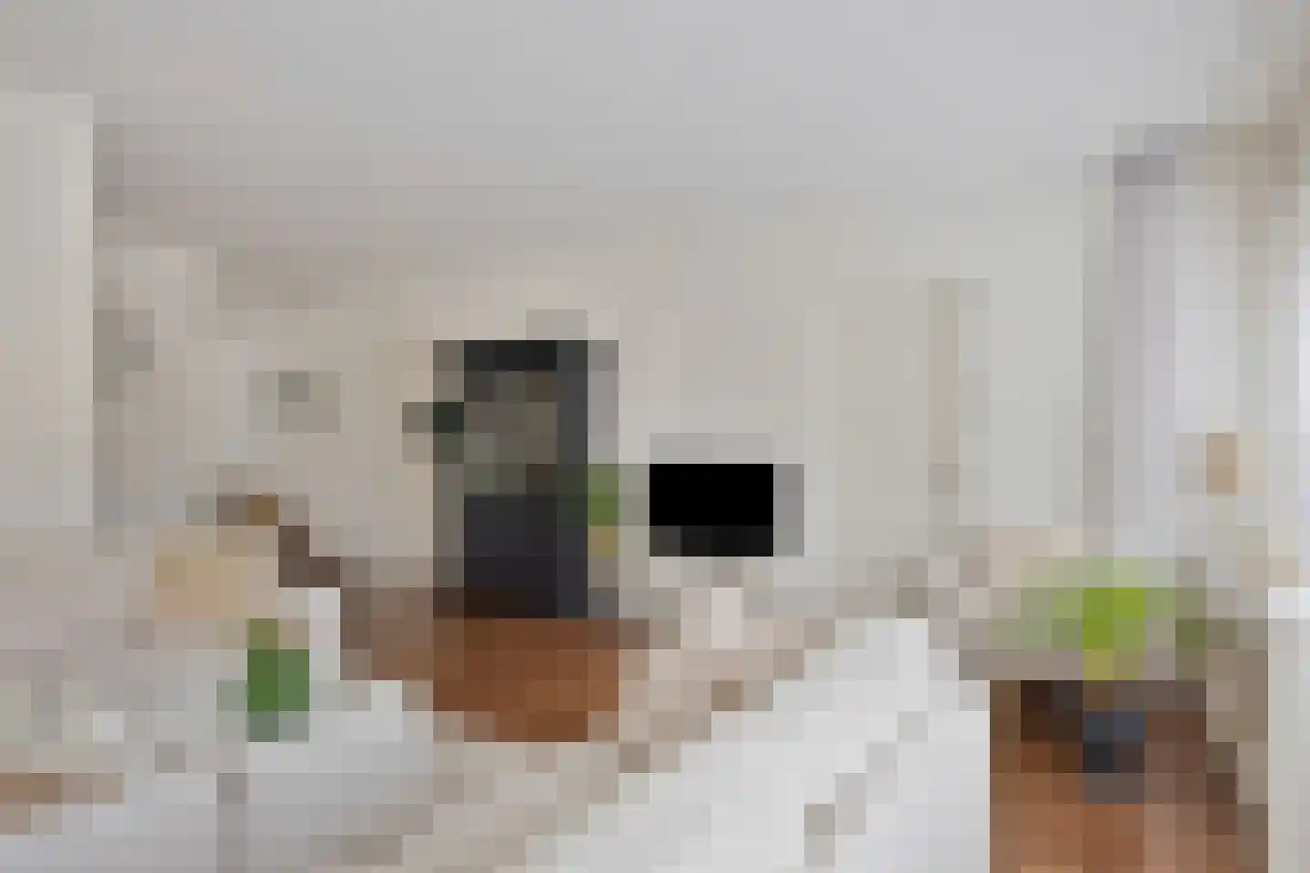 Raaphorst 2 Leiderdorp thumbnail 20
