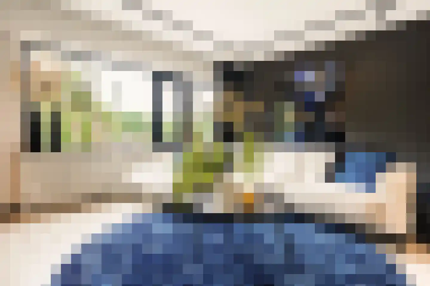 Raaphorst 37 Leiderdorp thumbnail 12