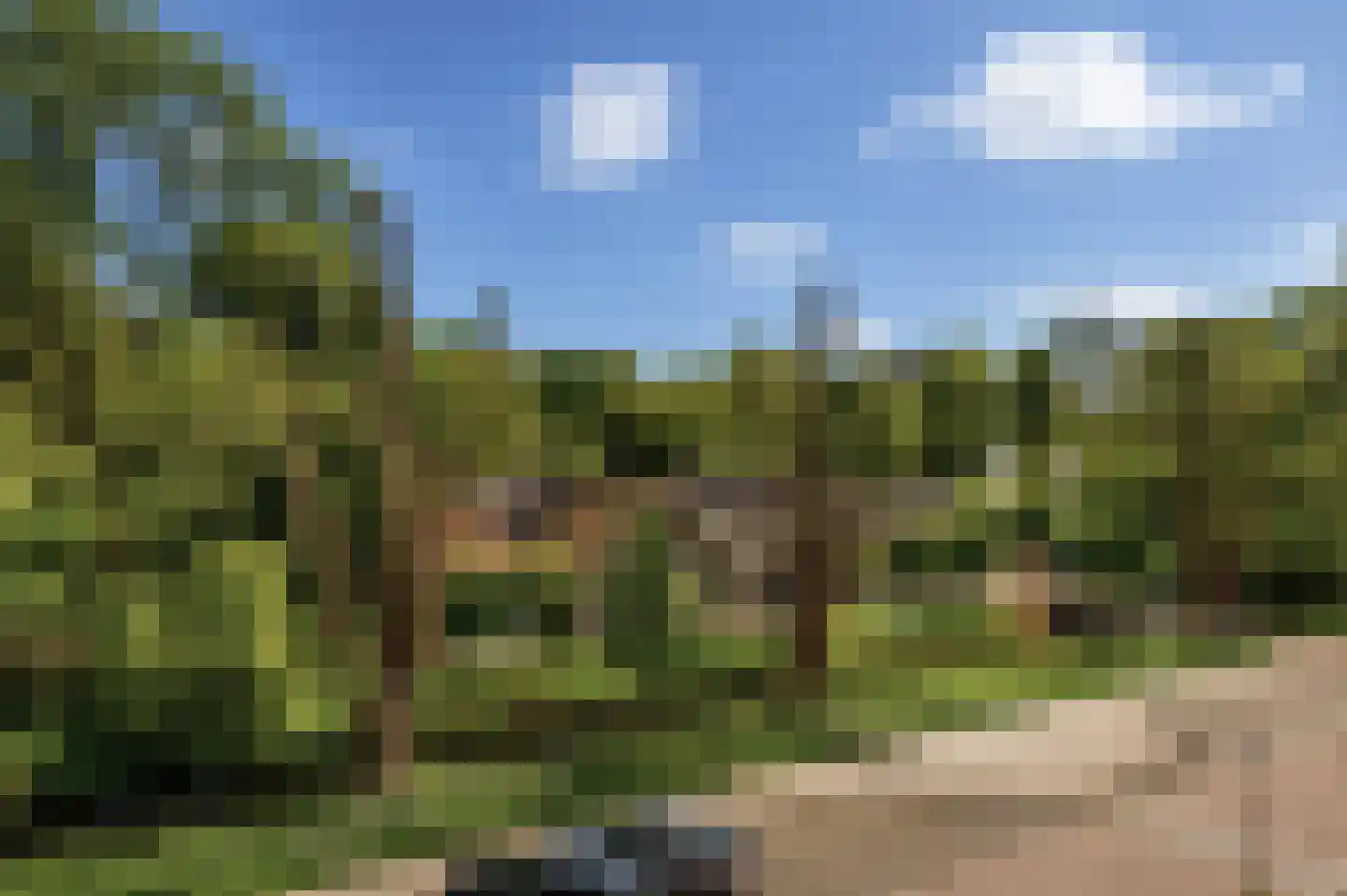 Raaphorst 37 Leiderdorp thumbnail 13