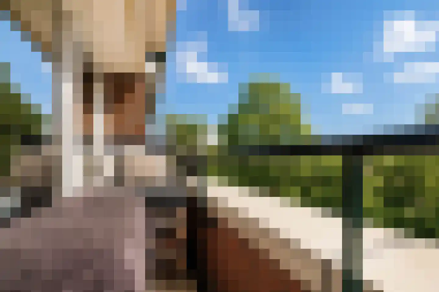 Raaphorst 37 Leiderdorp thumbnail 33
