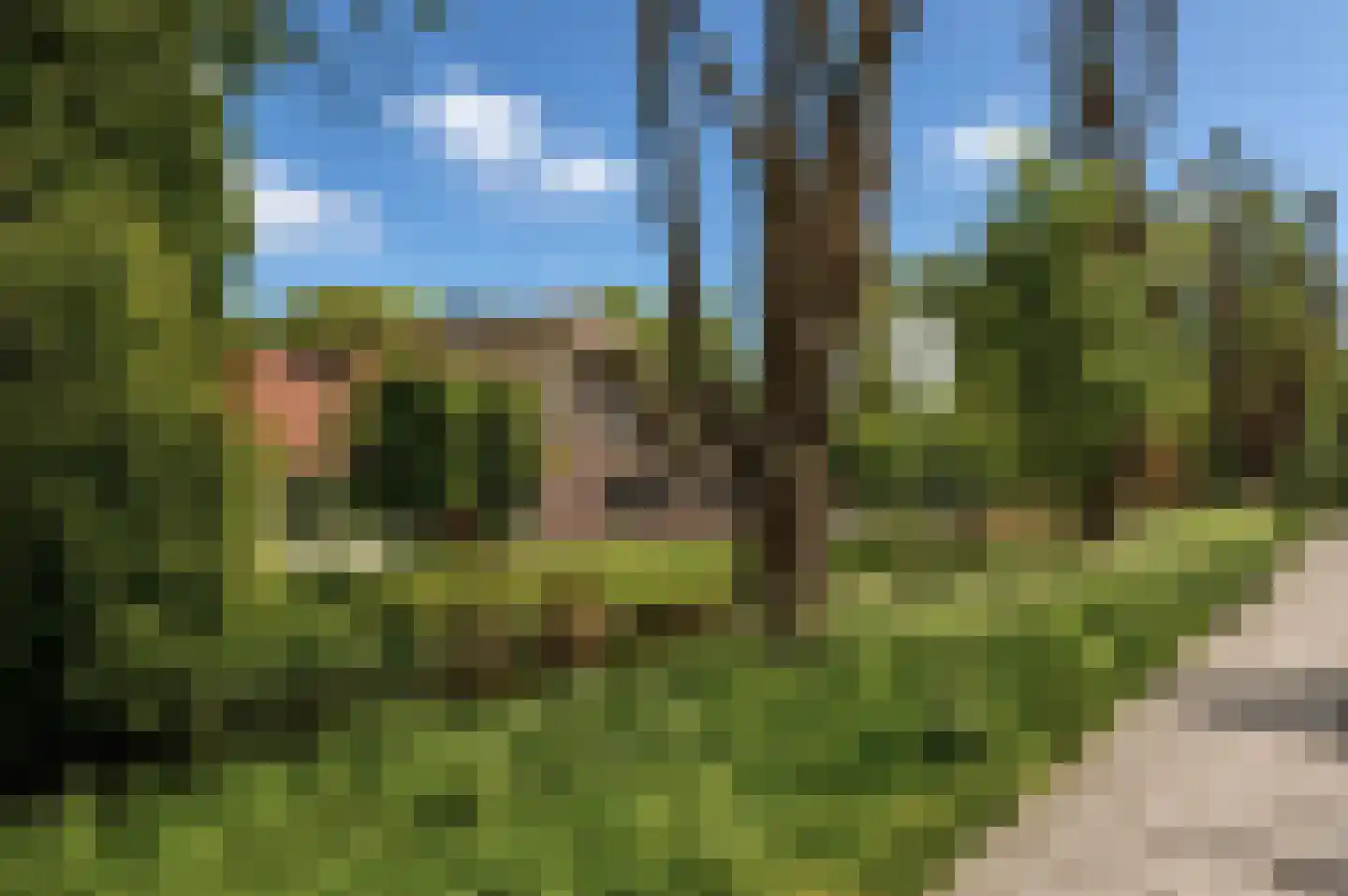 Raaphorst 37 Leiderdorp thumbnail 40
