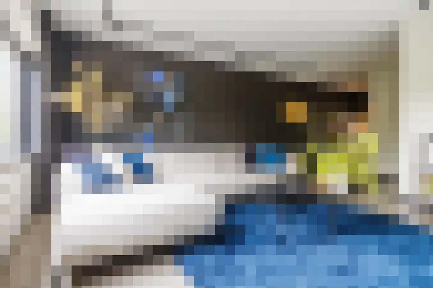 Raaphorst 37 Leiderdorp thumbnail 5