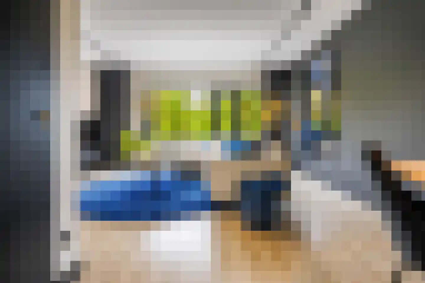 Raaphorst 37 Leiderdorp thumbnail 8
