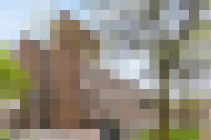 Raaphorst 59 Leiderdorp