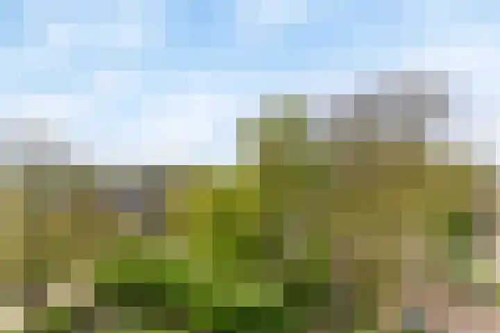 Raaphorst 59 Leiderdorp thumbnail 23