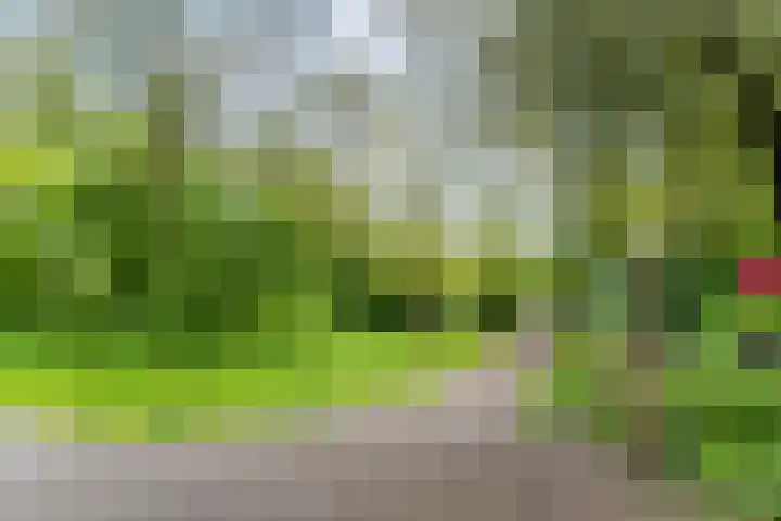 Raaphorst 59 Leiderdorp thumbnail 33